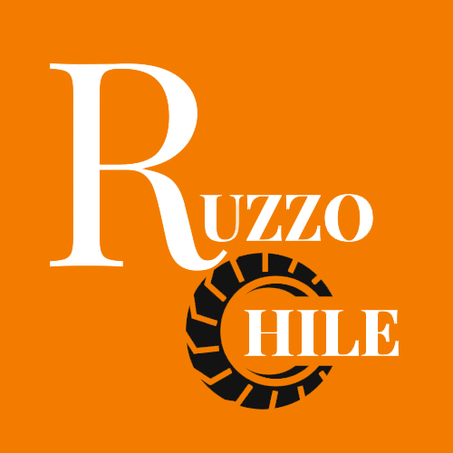 ruzzo-chile-logo-naranjo