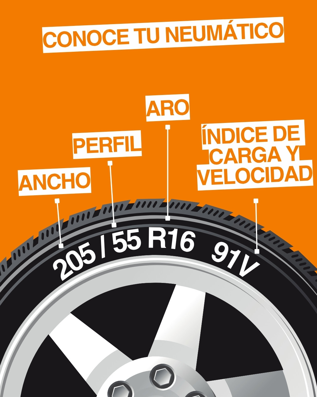 ruzzochile-conoce-tu-neumatico