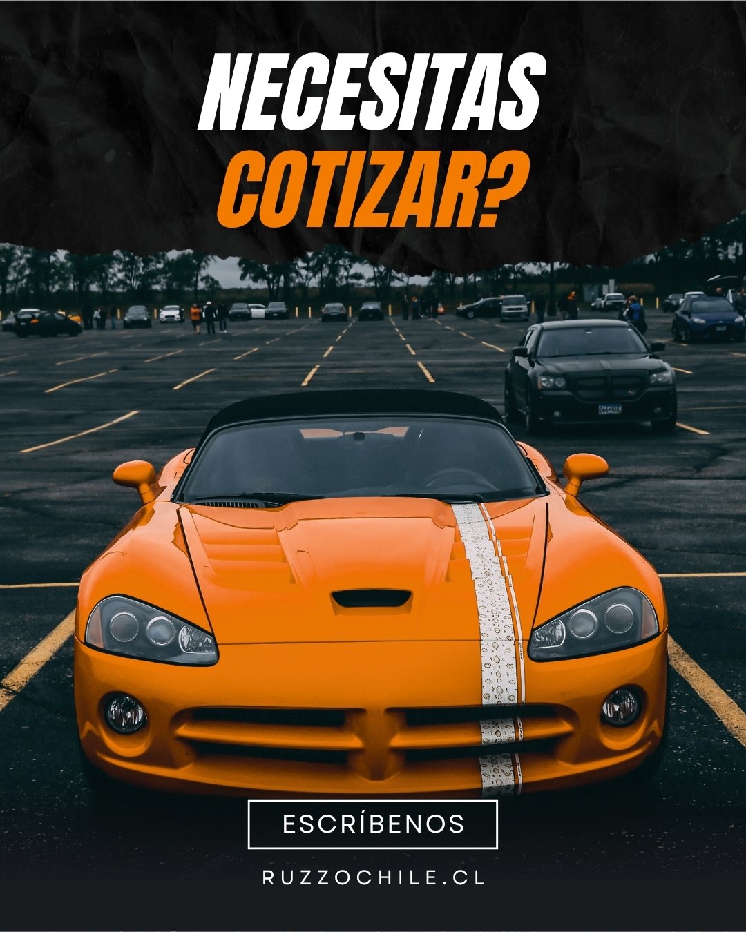 ruzzochile-necesitas-ayuda-escribenos