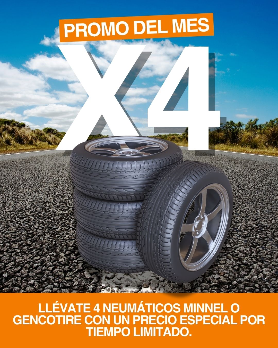ruzzochile-promo-del-mes-set-x4